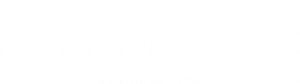 Logo Senac MS